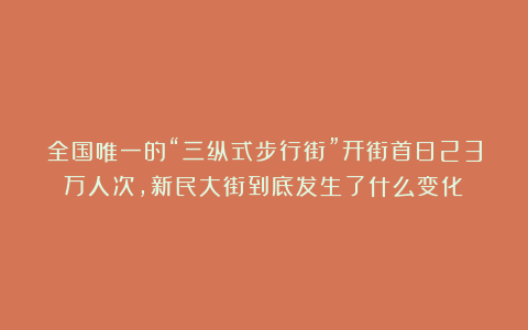 全国唯一的“三纵式步行街”开街首日23万人次，新民大街到底发生了什么变化？