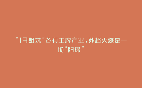 “13姐妹”各有王牌产业，苏超火爆是一场“阳谋”？
