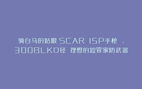 骑白马的姑娘：SCAR 15P手枪 .300BLK口径 理想的短管家防武器