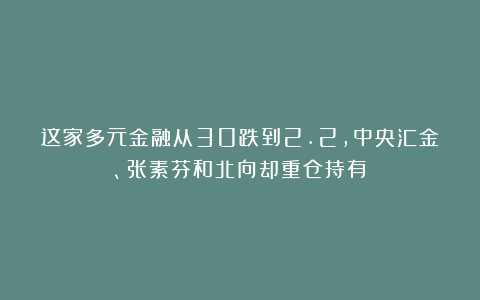 这家多元金融从30跌到2.2，中央汇金、张素芬和北向却重仓持有