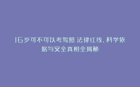 16岁可不可以考驾照？法律红线、科学依据与安全真相全揭秘！