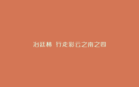 冶廷林||行走彩云之南之四