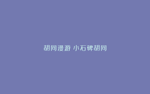 胡同漫游｜小石碑胡同