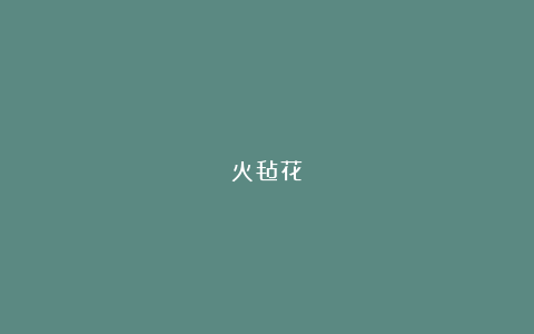 火毡花‌
