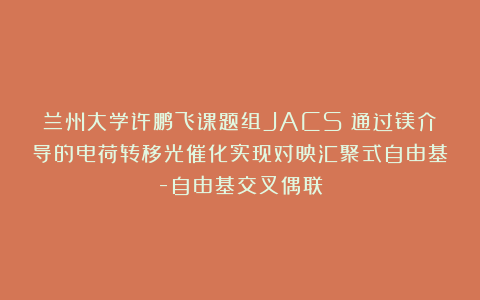 兰州大学许鹏飞课题组JACS：通过镁介导的电荷转移光催化实现对映汇聚式自由基-自由基交叉偶联