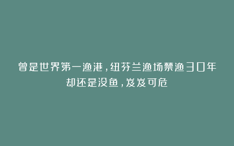 曾是世界第一渔港，纽芬兰渔场禁渔30年却还是没鱼，岌岌可危！