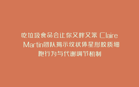 吃垃圾食品会让你又胖又笨？Claire Martin团队揭示纹状体星形胶质细胞行为与代谢调节机制
