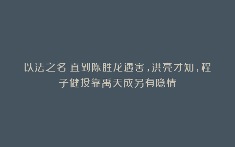 以法之名：直到陈胜龙遇害，洪亮才知，程子健投靠禹天成另有隐情