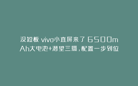 没短板?vivo小直屏来了!6500mAh大电池+潜望三摄,配置一步到位