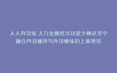 人人有功练：大力金刚虎爪功是少林武术中融合内劲修持与外功硬练的上乘绝技