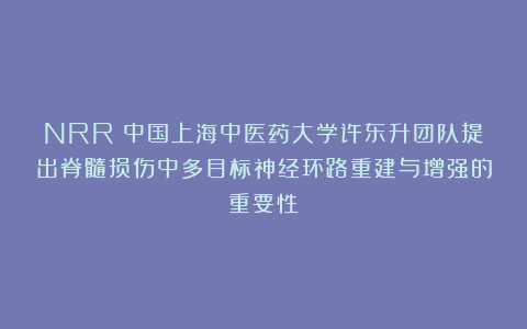 NRR：中国上海中医药大学许东升团队提出脊髓损伤中多目标神经环路重建与增强的重要性