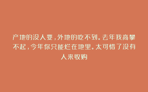 产地的没人要，外地的吃不到。去年我高攀不起，今年你只能烂在地里。太可惜了没有人来收购！