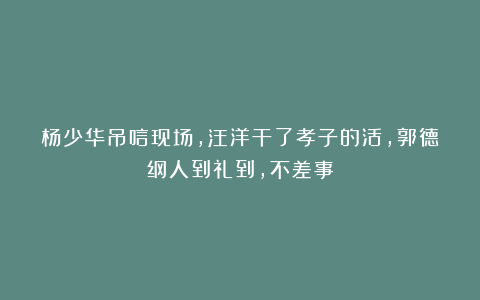 杨少华吊唁现场，汪洋干了孝子的活，郭德纲人到礼到，不差事