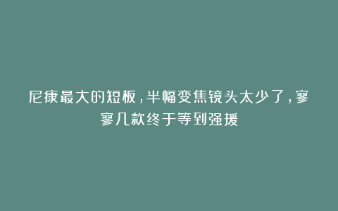 尼康最大的短板，半幅变焦镜头太少了，寥寥几款终于等到强援