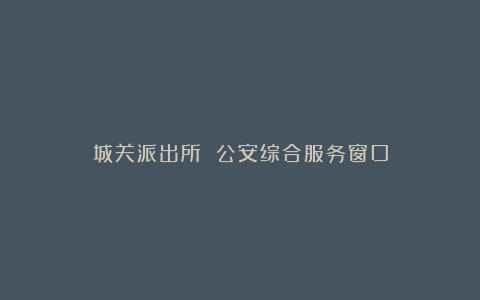 城关派出所 公安综合服务窗口