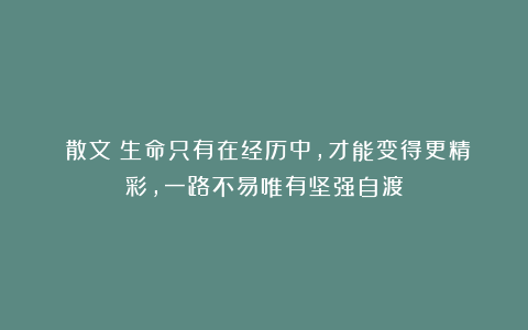 散文:生命只有在经历中,才能变得更精彩,一路不易唯有坚强自渡