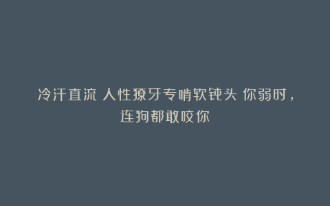 冷汗直流！人性獠牙专啃软骨头：你弱时，连狗都敢咬你！