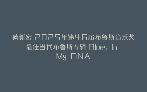 臧新宏|2025年第46届布鲁斯音乐奖最佳当代布鲁斯专辑《Blues In My DNA》