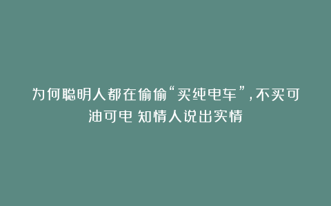为何聪明人都在偷偷“买纯电车”，不买可油可电？知情人说出实情