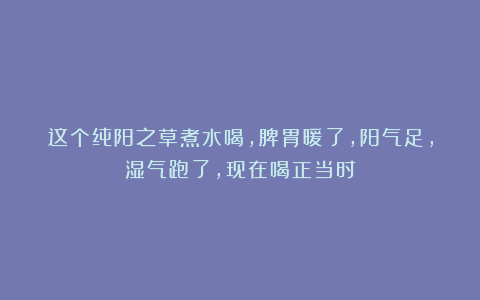 这个纯阳之草煮水喝，脾胃暖了，阳气足，湿气跑了，现在喝正当时