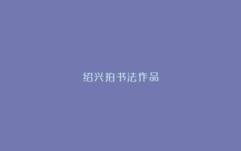 绍兴拍书法作品