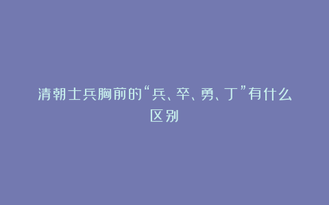 清朝士兵胸前的“兵、卒、勇、丁”有什么区别?