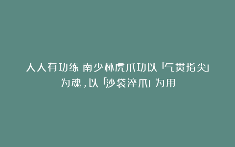人人有功练：南少林虎爪功以「气贯指尖」为魂，以「沙袋淬爪」为用