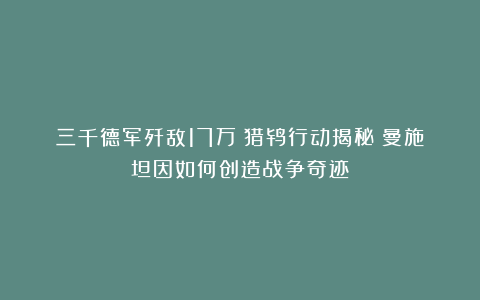 三千德军歼敌17万！猎鸨行动揭秘：曼施坦因如何创造战争奇迹？
