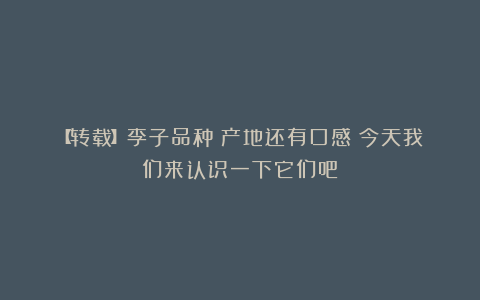 【转载】李子品种！产地还有口感！今天我们来认识一下它们吧