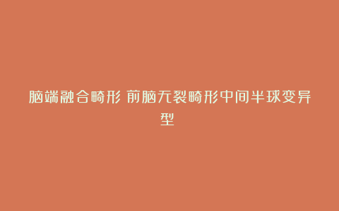 脑端融合畸形（前脑无裂畸形中间半球变异型）​