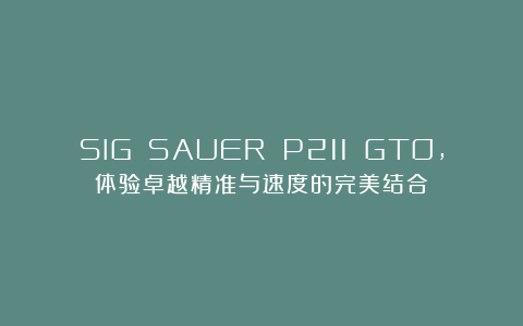 SIG SAUER P211 GTO，体验卓越精准与速度的完美结合