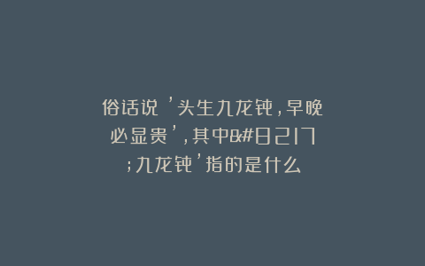 俗话说：’头生九龙骨，早晚必显贵’，其中’九龙骨’指的是什么