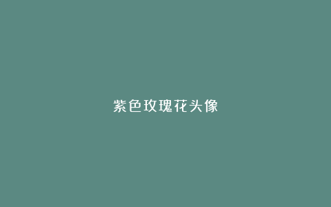 紫色玫瑰花头像