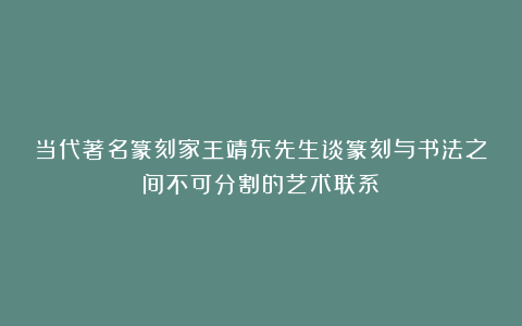 当代著名篆刻家王靖东先生谈篆刻与书法之间不可分割的艺术联系