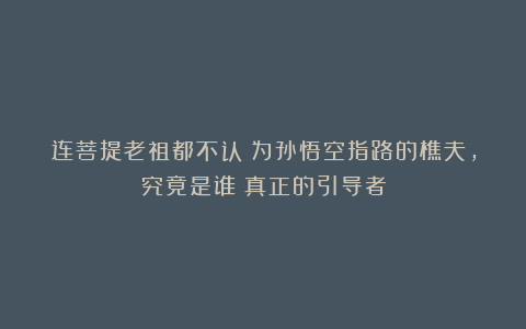 连菩提老祖都不认！为孙悟空指路的樵夫，究竟是谁？真正的引导者