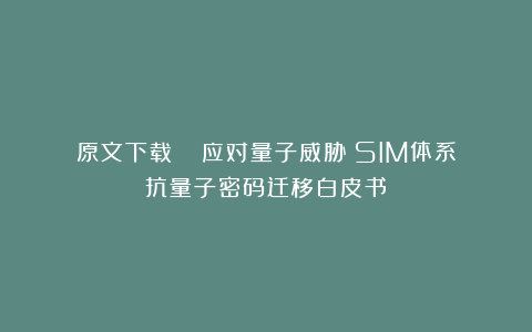 原文下载 |《应对量子威胁：SIM体系抗量子密码迁移白皮书》