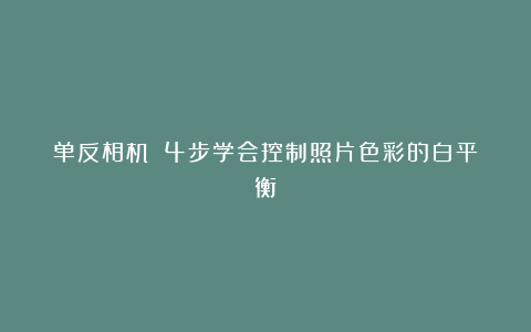 单反相机❗️4步学会控制照片色彩的白平衡