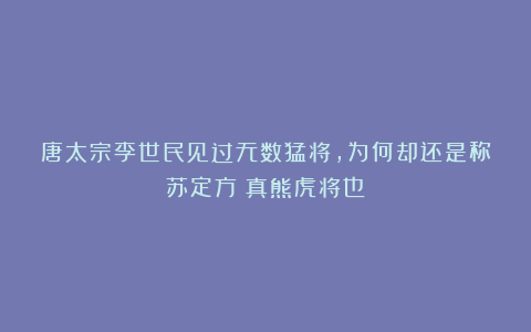 唐太宗李世民见过无数猛将，为何却还是称苏定方：真熊虎将也！