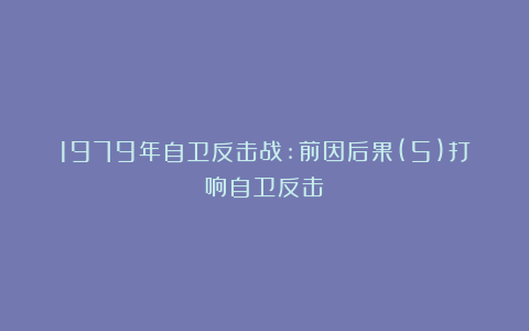 1979年自卫反击战:前因后果(5)打响自卫反击