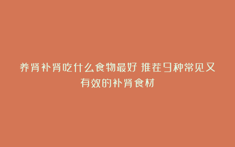 养肾补肾吃什么食物最好?推荐9种常见又有效的补肾食材!