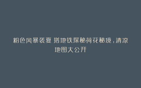 粉色风暴袭夏！搭地铁探秘荷花秘境，清凉地图大公开