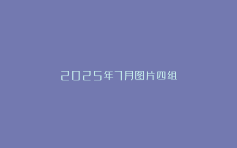 2025年7月图片四组