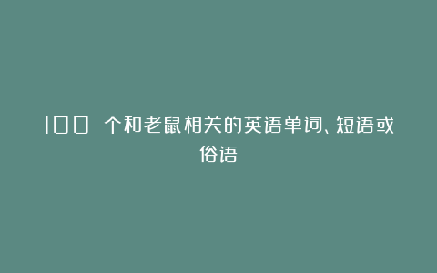 100 个和老鼠相关的英语单词、短语或俗语
