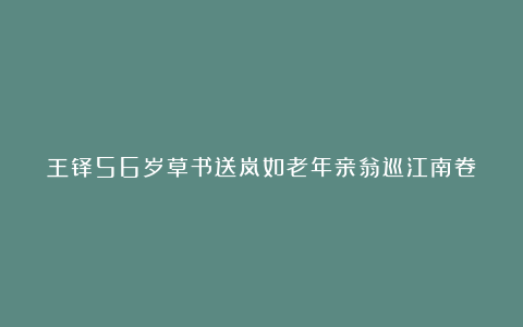 王铎56岁草书送岚如老年亲翁巡江南卷