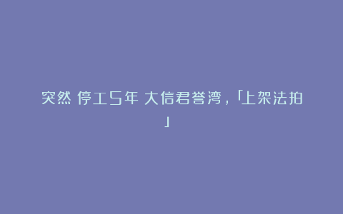 突然！停工5年！大信君誉湾，「上架法拍」！