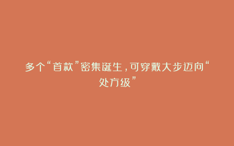多个“首款”密集诞生，可穿戴大步迈向“处方级”