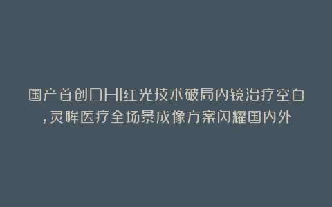 国产首创DHI红光技术破局内镜治疗空白，灵眸医疗全场景成像方案闪耀国内外