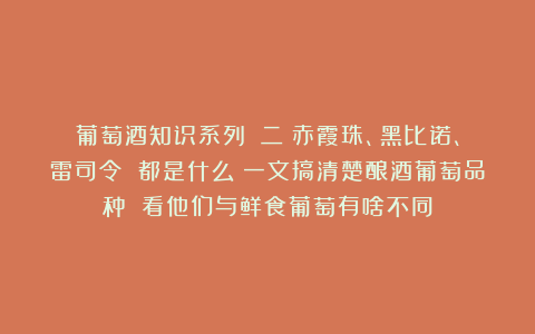 葡萄酒知识系列|（二）赤霞珠、黑比诺、雷司令 都是什么？一文搞清楚酿酒葡萄品种 看他们与鲜食葡萄有啥不同