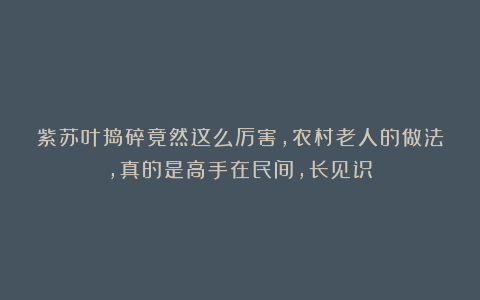 紫苏叶捣碎竟然这么厉害，农村老人的做法，真的是高手在民间，长见识