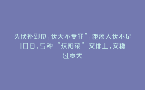 头伏补到位，伏天不受罪”，距离入伏不足10日，5种 “扶阳菜” 安排上，安稳过夏天